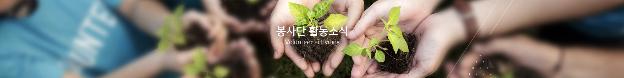 봉사단 활동소식 Volunteer activities